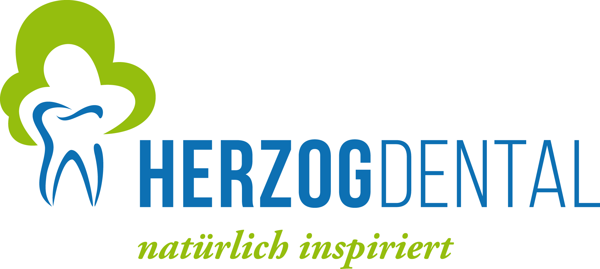 RZ-HerzogDental-Logo_RGB-kompr